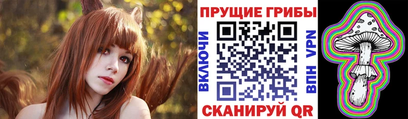 Купить закладки  Дзержинск  Псилоцибиновые грибы MAGIC MUSHROOMS 